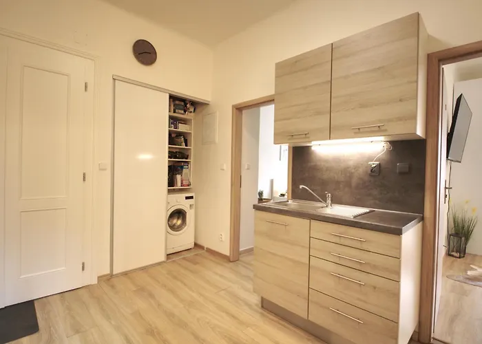 Cozy Private Apartment Проживание в семье *